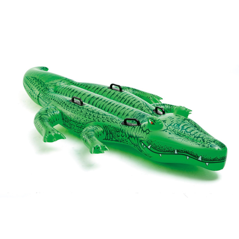 crocodile pool rider